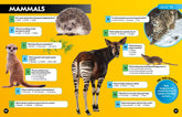 Big Quiz Book: 1001 brain busting trivia questions (National Geographic Kids) - The English Bookshop Kuwait